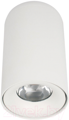 Потолочный светильник Loftit Tictac 3000K / 10220 (белый)