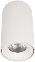 Потолочный светильник Loftit Tictac 4000K / 10220 (белый) - 