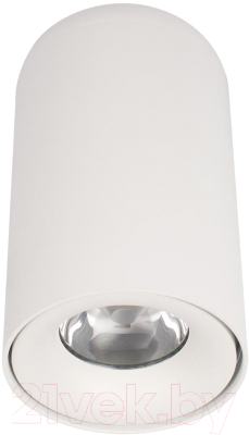 Потолочный светильник Loftit Tictac 4000K / 10220 (белый)