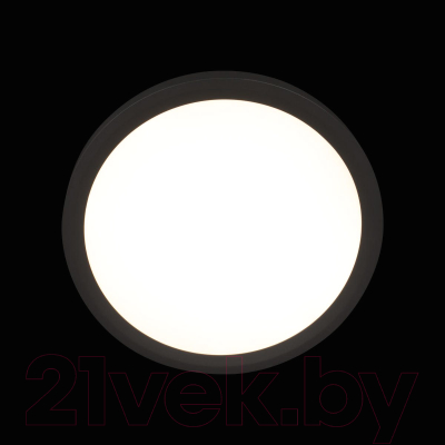 Потолочный светильник Loftit Extraslim 10227/24 (черный)