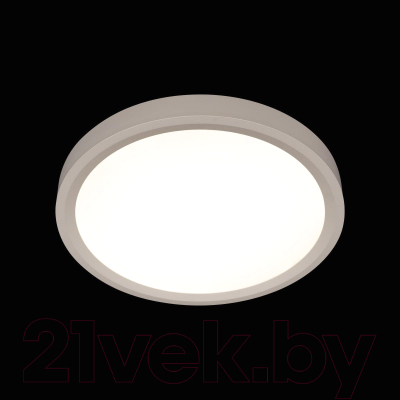 Потолочный светильник Loftit Extraslim 10227/24 (белый)