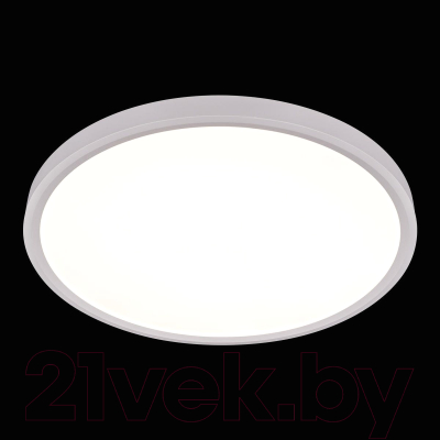 Потолочный светильник Loftit Extraslim 10227/40 (белый)
