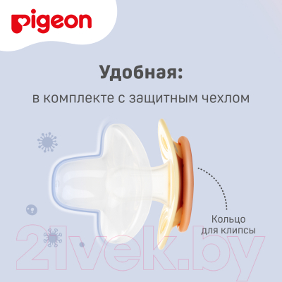 Пустышка Pigeon FunFriends Мишка 3+ мес / N997 (M)