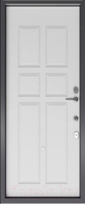 Входная дверь Torex Дельта Pro MP VDM (86x205, правая)