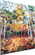 Картина по номерам PaintLine Осень в березовой роще / 2036963709573 - 