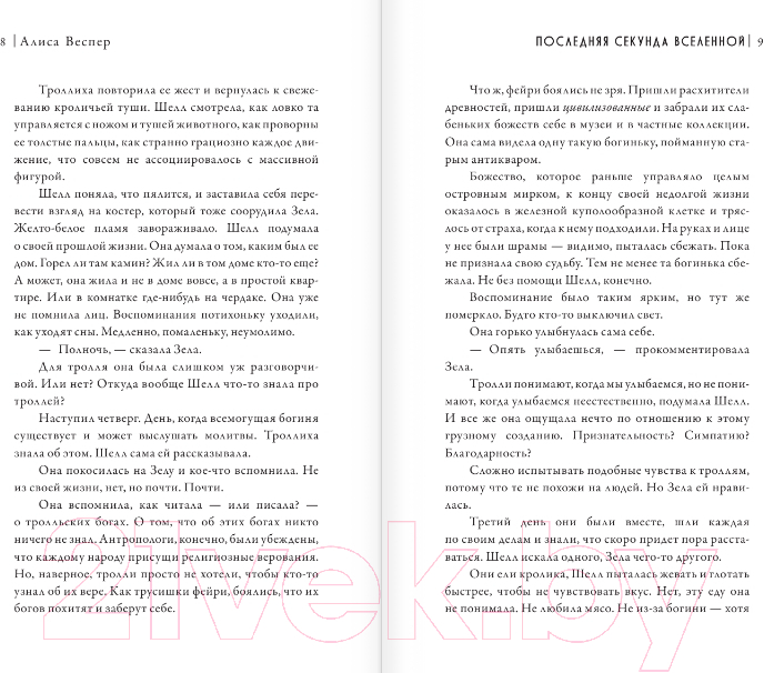Художественная книга АСТ Последняя секунда Вселенной / 9785171594565 (Веспер А.) — фото 4