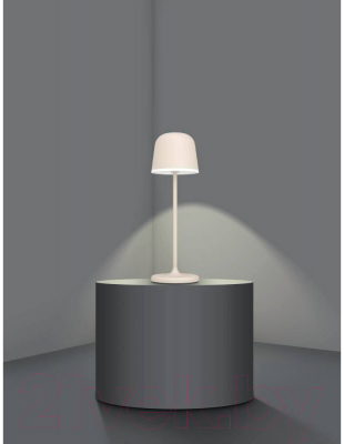 Прикроватная лампа Eglo Mannera 900461