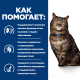 Миниатюра изображения товара Влажный корм для кошек Hill's Prescription Diet k/d Early Stage (85г)