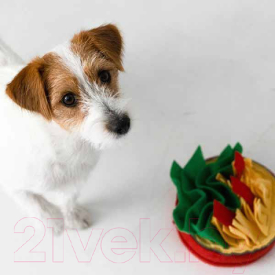 Игрушка для собак Mr. Kranch Нюхательная игрушка Пицца / MKR512236