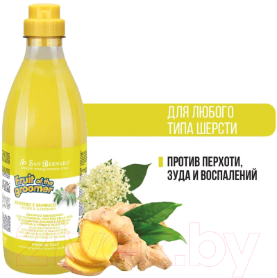 Шампунь для животных Iv San Bernard Fruit Of The Groomer Ginger&Elderbery против раздражений (100мл)