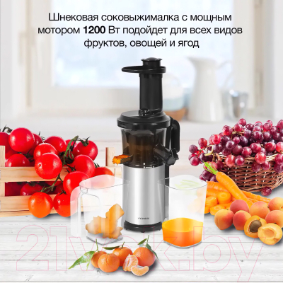 Изображение товара Соковыжималка электрическая Hyundai HY-JS4322 (серебристый/черный)