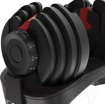 Изображение товара Гантель UNIX Fit DBREGU16 (16кг)