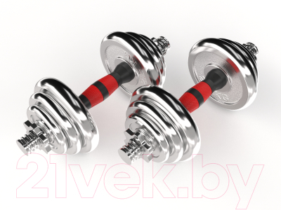 Изображение товара Набор гантелей разборных UNIX Fit DBKITU20 (20кг)