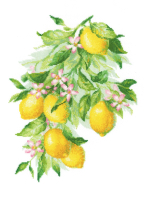Набор для вышивания Риолис Яркие лимоны / 2054Р - 