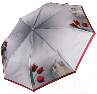 Зонт складной Fabretti UFLS0008-4