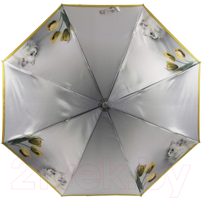 Зонт складной Fabretti UFLS0008-7