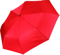 Зонт складной Fabretti UFN0002-4 - 