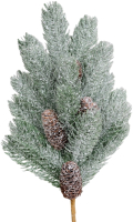 

Ветка новогодняя, Хвоя / 313062