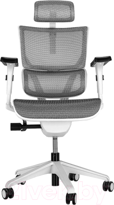 Кресло офисное Ergostyle Vision White T-07 / VIM01-W (серый)