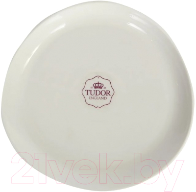 Тарелка закусочная (десертная) Tudor England TU1992-2 (20см)