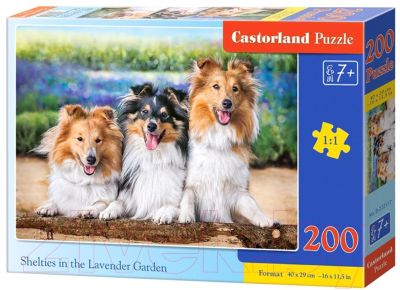 Пазл Castorland Собаки в саду / В-222117 