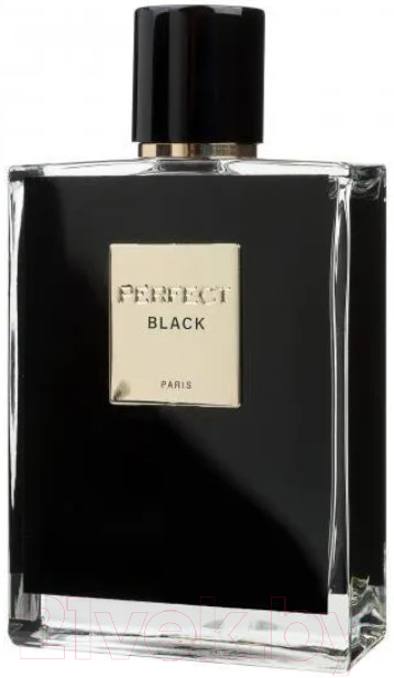 Туалетная вода Geparlys Perfect Black for Men