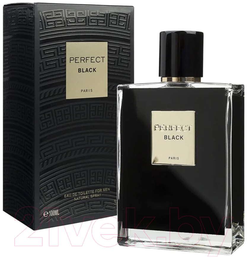 Туалетная вода Geparlys Perfect Black for Men