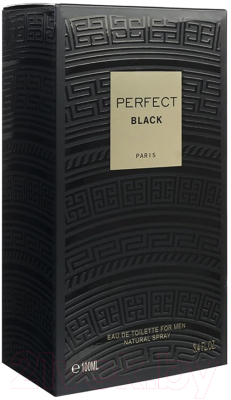 Туалетная вода Geparlys Perfect Black for Men (100мл)