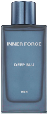 Туалетная вода Geparlys Inner Force Blue Amber for Men (100мл)