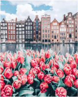 Картина по номерам Kolibriki Голландские тюльпаны 40x50 VA-2687 - 