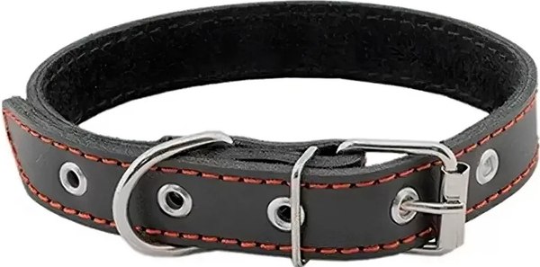 Ошейник Homepet 15мм 28-38см / 75887 (черный)