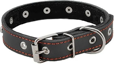 Ошейник Homepet 15мм 28-38см / 75893 (черный) - 