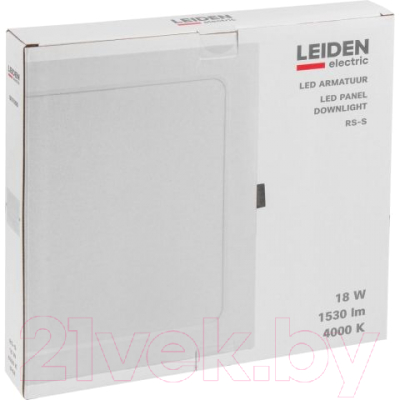 Точечный светильник Leiden Electric 807008