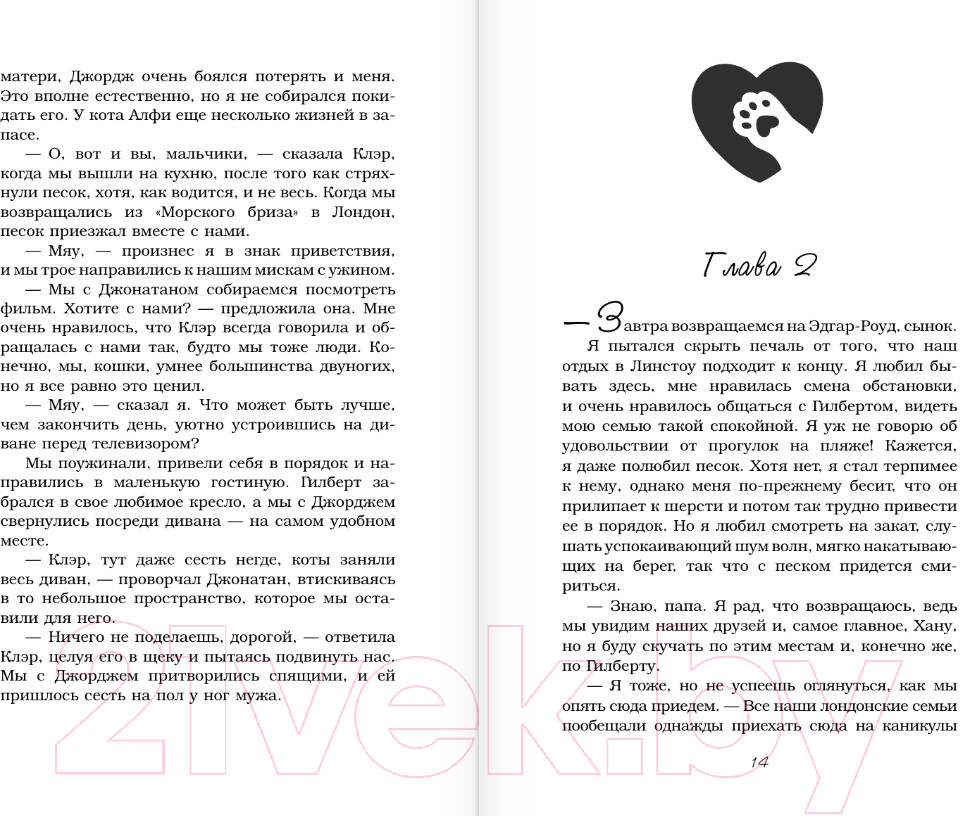 Художественная книга АСТ Алфи и зимние чудеса / 9785171521356 (Уэллс Р.) — фото 6