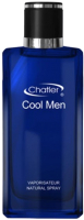 Парфюмерная вода Chatler Cool Men (100мл) - 