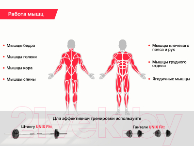 Изображение товара Скамья многофункциональная UNIX Fit Bench 120 / BSBN120