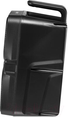 Портативная колонка Digma D-PS1505 (черный)