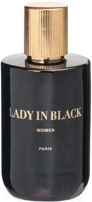 Парфюмерная вода Geparlys Lady In Black 037 (100мл)