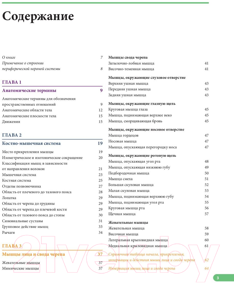 Книга Попурри Анатомия мышц: иллюстрированный справочник / 9789851554719