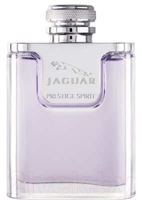 Туалетная вода JAGUAR Prestige Spirit (100мл)