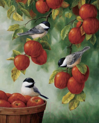 Набор для вышивания RadugaArt Птицы на яблоках 40x50 VS-0275