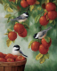 Набор для вышивания RadugaArt Птицы на яблоках 40x50 VS-0275 - 