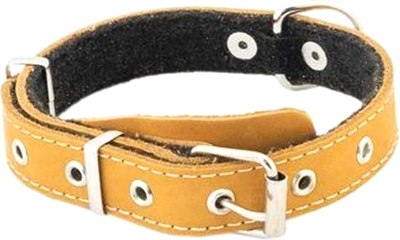 Ошейник Homepet 20мм 28-40см / 84030 (янтарь) - 