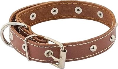 Ошейник Homepet 20мм 32-42см / 77813 (коричневый) - 