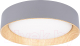 Потолочный светильник Loftit Coin 10202 (серый) - 