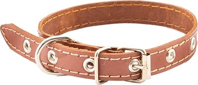 Ошейник Homepet 20мм 32-42см / 77819 (коричневый) - 