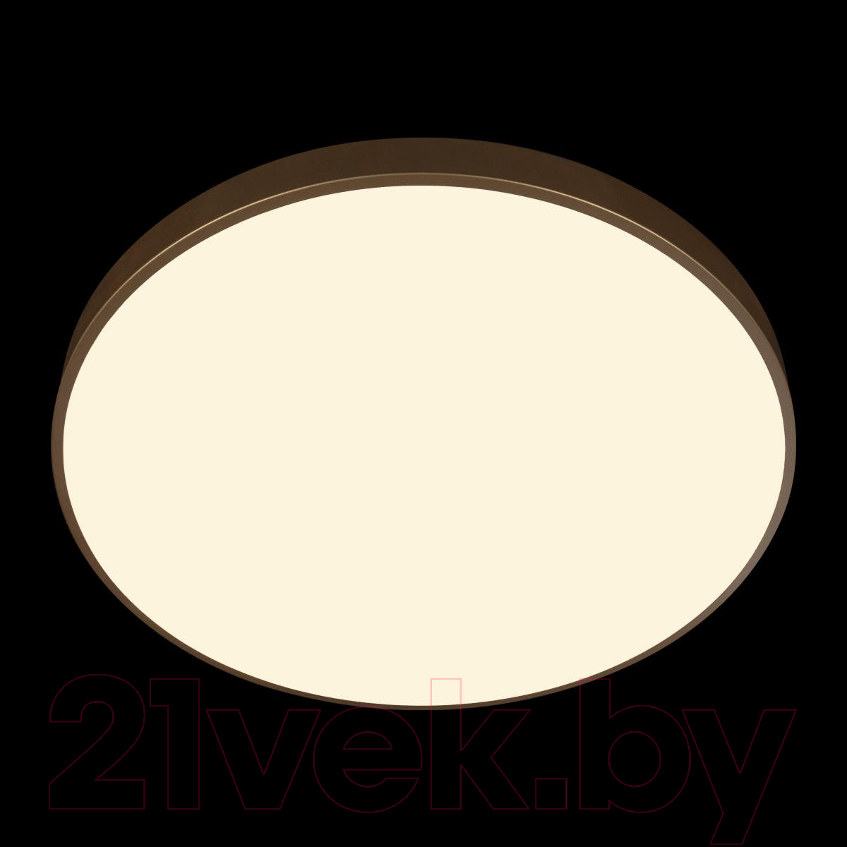 Потолочный светильник Loftit Flims 10228/B — фото 6