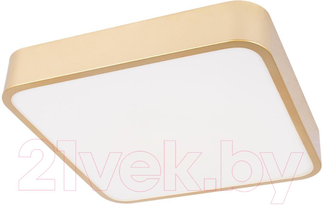 Потолочный светильник Loftit Flims 10228/C