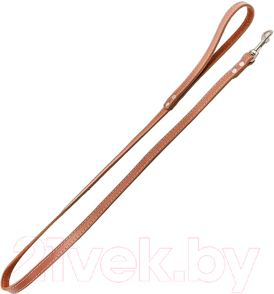 Поводок Homepet 20мм 120см / 77834 (коричневый)
