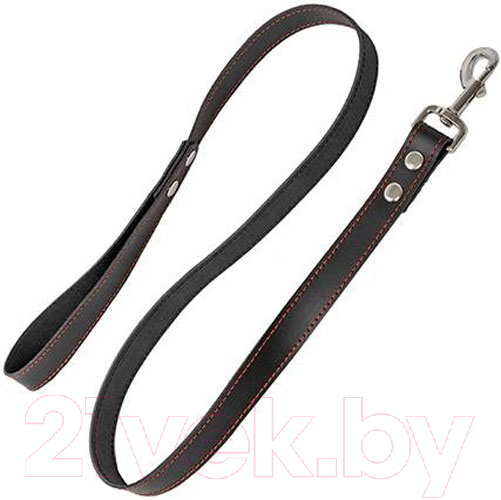 Поводок Homepet 20мм 120см / 75913 (черный)